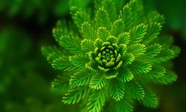 梦到摩托车被偷了