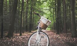 梦见坐电梯电梯坏了