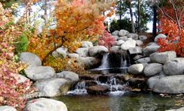 孕妇梦见自己结婚办婚礼