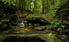 做梦梦到别人跟我要钱