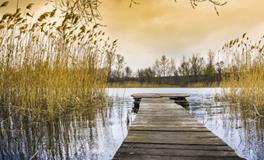 未婚做梦梦到要订婚