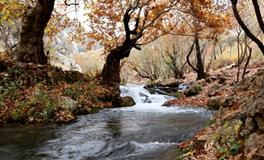 做梦梦到丢小孩是什么意思