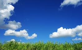 孕妇梦到摘酸枣