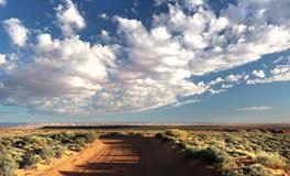 孕妇梦到摘茄子