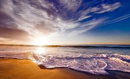 孕妇梦到摘黄皮