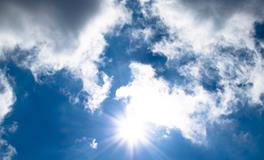 孕妇梦到树上结芒果