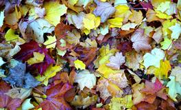 梦见别人烧香拜佛