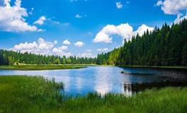 梦到大蛇预示着什么周公解梦