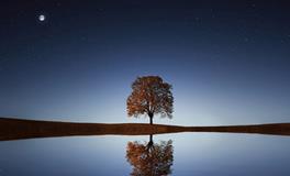 梦到自己小孩被鬼上身