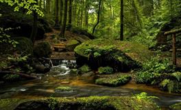 梦到家人鬼上身