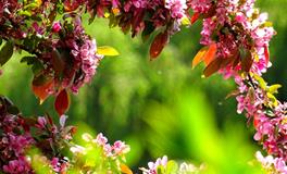 梦见坐牢的人出来了