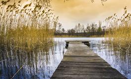 女人梦见坟是什么意思