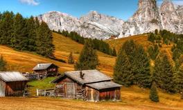 梦见和初恋结婚