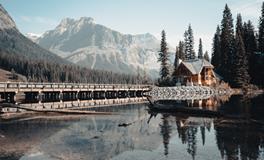 梦见稻谷熟了一片金黄