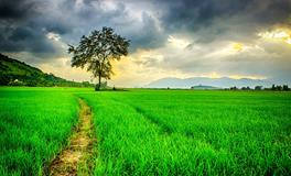 梦到手镯断了是什么意思