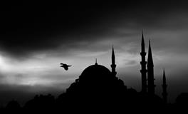 梦见爬坡爬上去了