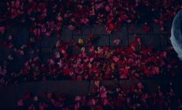 梦见尿床是什么意思