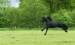 怀孕梦到自己买衣服