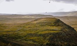 梦见别人溺水身亡