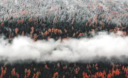 梦到女儿溺水被自己救