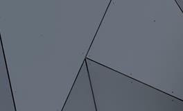 做梦梦到自己飞起来了