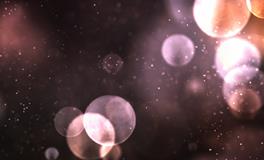 梦见白鸽子是什么意思