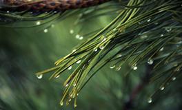 梦见和舍友吵架