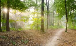 梦见和喜欢的人吵架