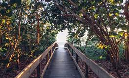 梦见家人吵架闹不合