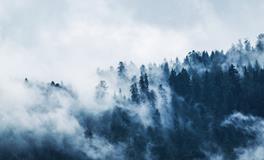 梦见情人的老婆是什么意思