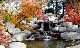 梦见爱人是什么意思