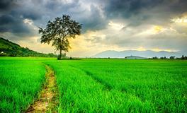 梦见情人和他老婆