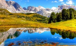 做梦梦到家里进小偷