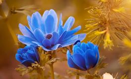 梦到老公被鬼附身