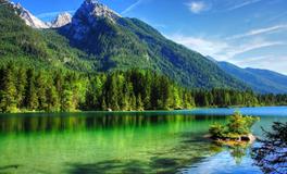 梦见领导来我家