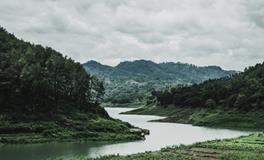 梦到自己要嫁人了