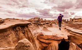 梦到头发里有虫子