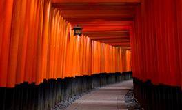 梦见梨树是什么意思