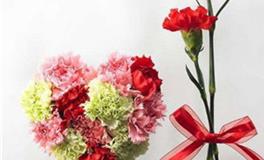 金牛座的守护花，金牛座的守护花花语