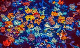 属兔人一生运势何时吉何时凶