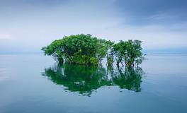 生肖猴祝福语大全