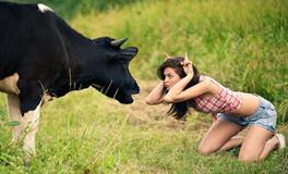 属牛的人2019养什么宠物最好