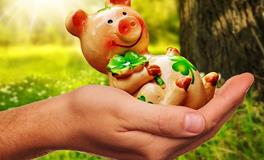 2019年属猪本命年要注意什么事项