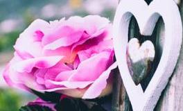 董易林2018年12月10日生肖运势