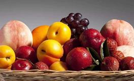 十二星座代表什么水果