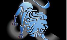 狮子座最喜欢什么课