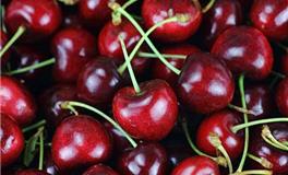 天秤座的幸运水果