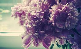 圣诞和元旦的由来，和耶稣关系大吗