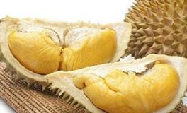 狮子座代表的水果