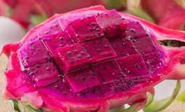 水瓶座代表的水果